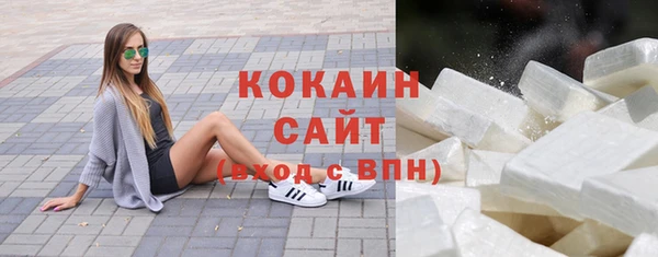 ешки Инта