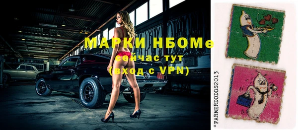 ешки Инта
