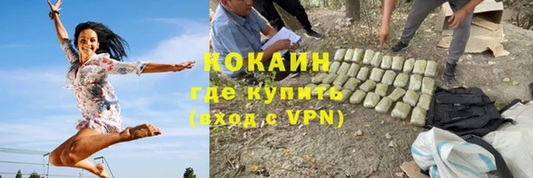 мет Инсар