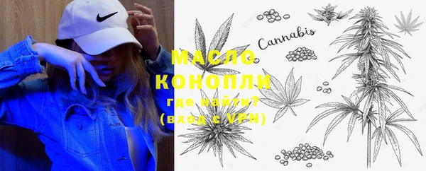 ешки Инта