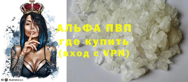 ешки Инта