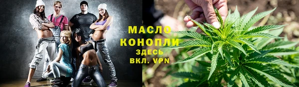мет Инсар