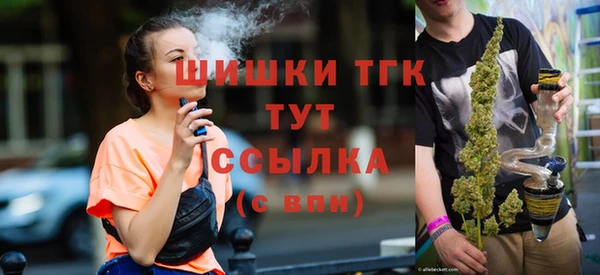 ешки Инта